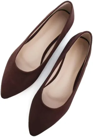 ChaiRong Zhou Women Pointed Toe Ballets Flats Comfort Slip On Walking Shoes for Driving