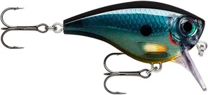 ラパラ(Rapala) BXビッグブラット BXBB6 11㎝/20ｇ